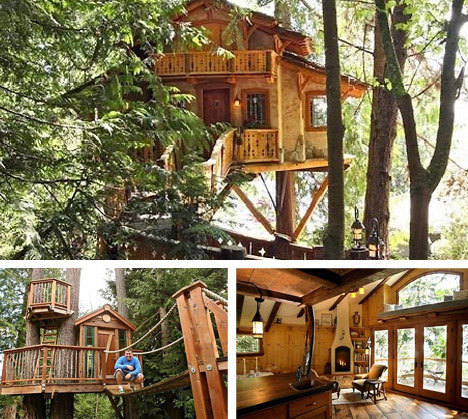 十种令人难以置信的树屋设计